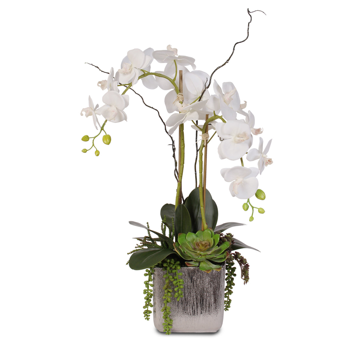 Real Touch White Orchid and Succulent Arrangement #JS05 – Jenny Silks