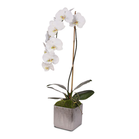 Jenny Silks White Real Touch Silk Phalaenopsis Orchid in Square Etched Silver Ceramic Pot #JS11