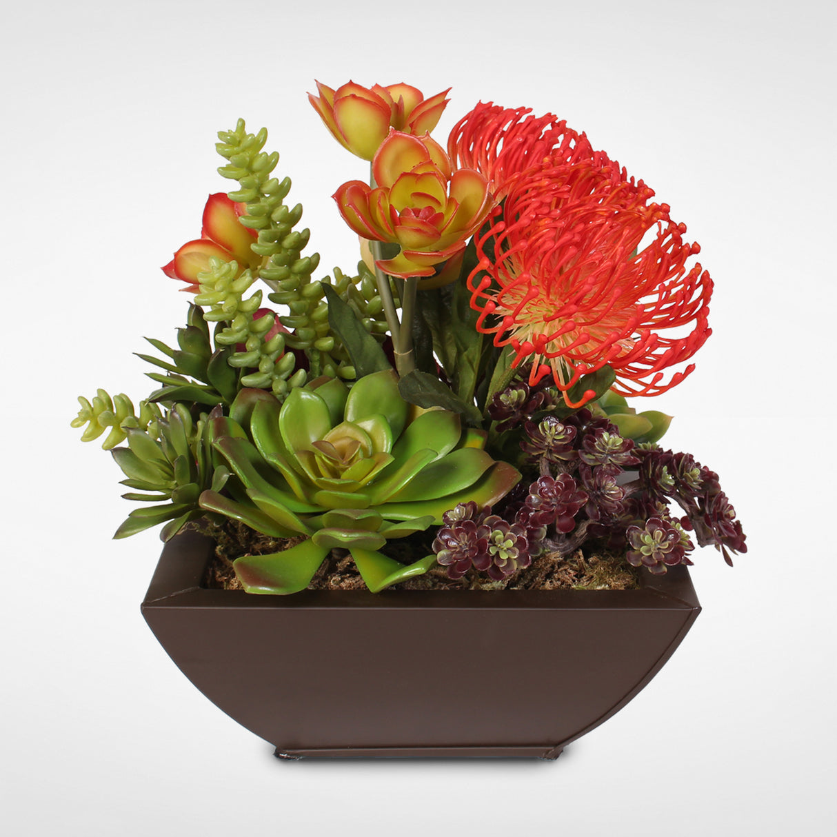 Contemporary Tropical Succulent Arrangement in a Metal Container #OS-11