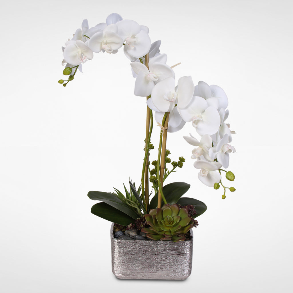 Real Touch White Phalaenopsis Orchid with Succulents in a Silver Ceramic Pot #OS-14