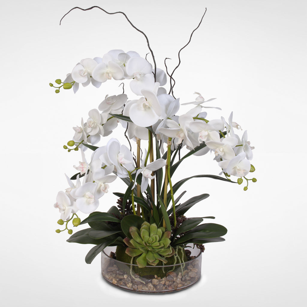 Real Touch White Phalaenopsis Orchid with Succulents and Natural Rocks in a Glass Pot #OS-16