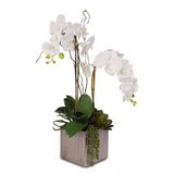 Real Touch White Phalaenopsis Orchids With Succulents in Silver Ceramic Pot #OS-17
