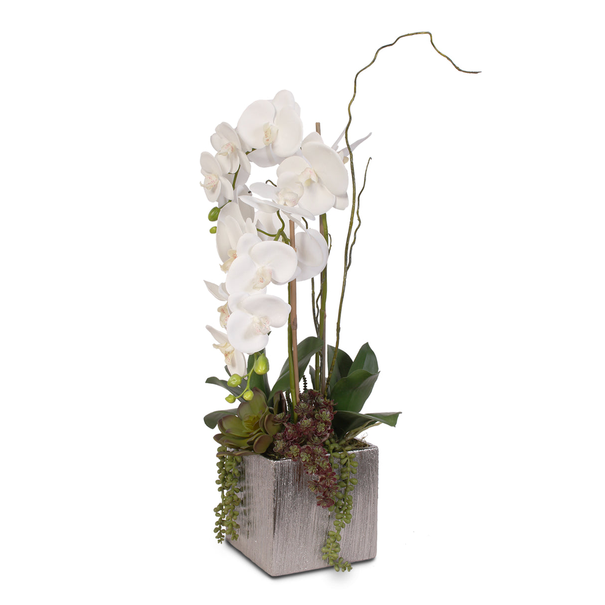 Real Touch White Phalaenopsis Orchids With Succulents in Silver Ceramic Pot #OS-17