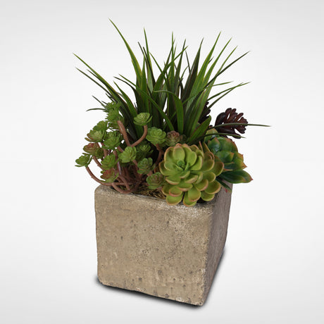 Artificial Succulent and Grass Arrangement in a Concrete Cube Pot #OS-20