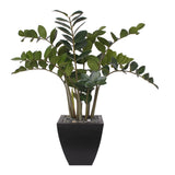 37"H ZZ Plant with Black Pebbles in a Modern Black Zinc Pot #P-12