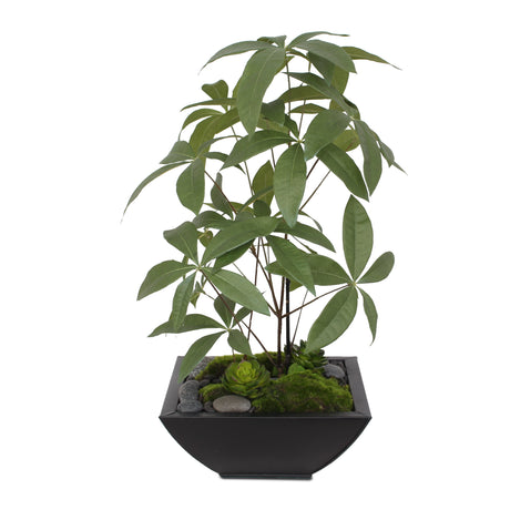 Artificial Chinese Money Tree with Succulents in Black Zinc Pot #P-17