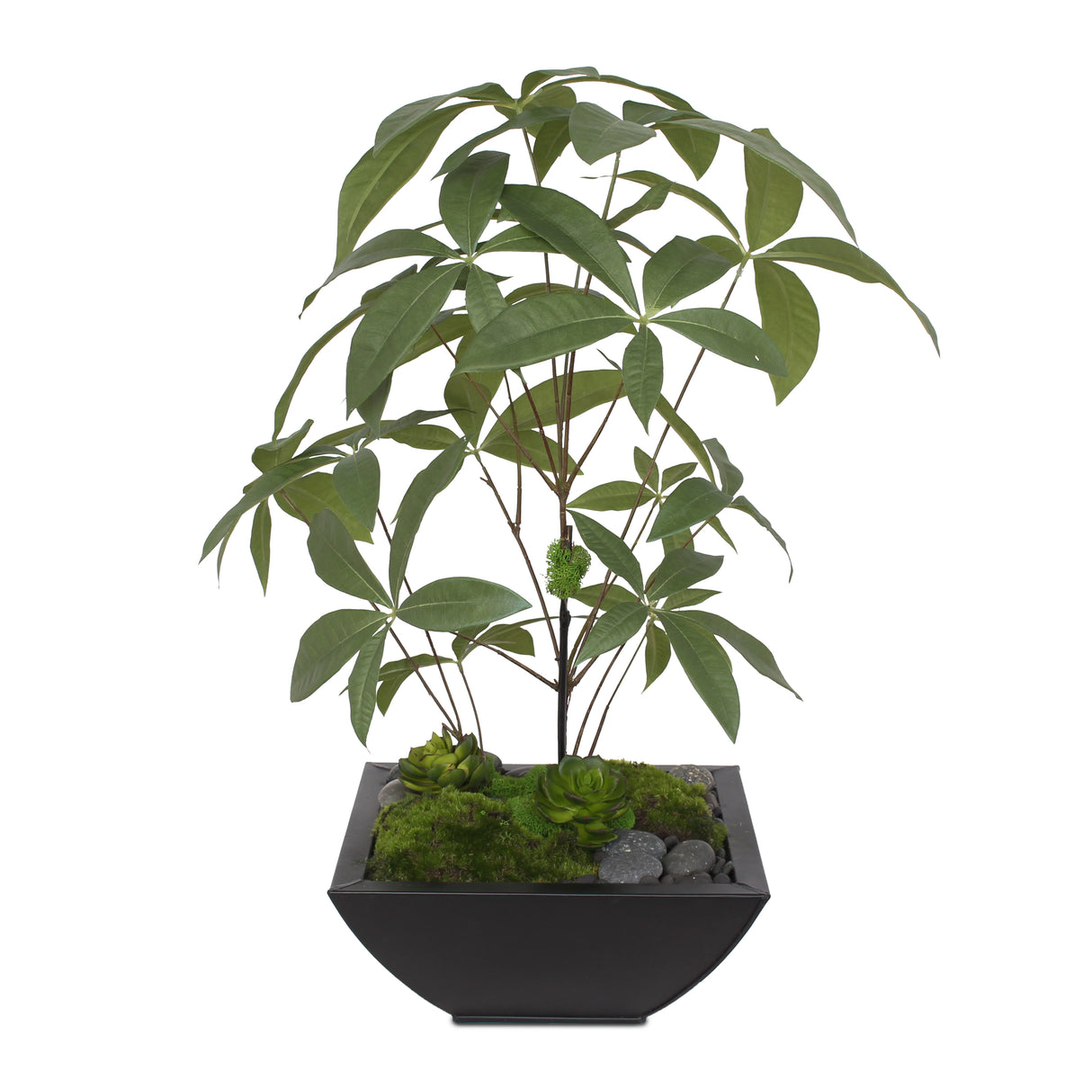 Artificial Chinese Money Tree with Succulents in Black Zinc Pot #P-17