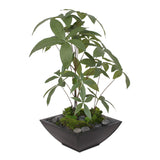 Artificial Chinese Money Tree with Succulents in Black Zinc Pot #P-17
