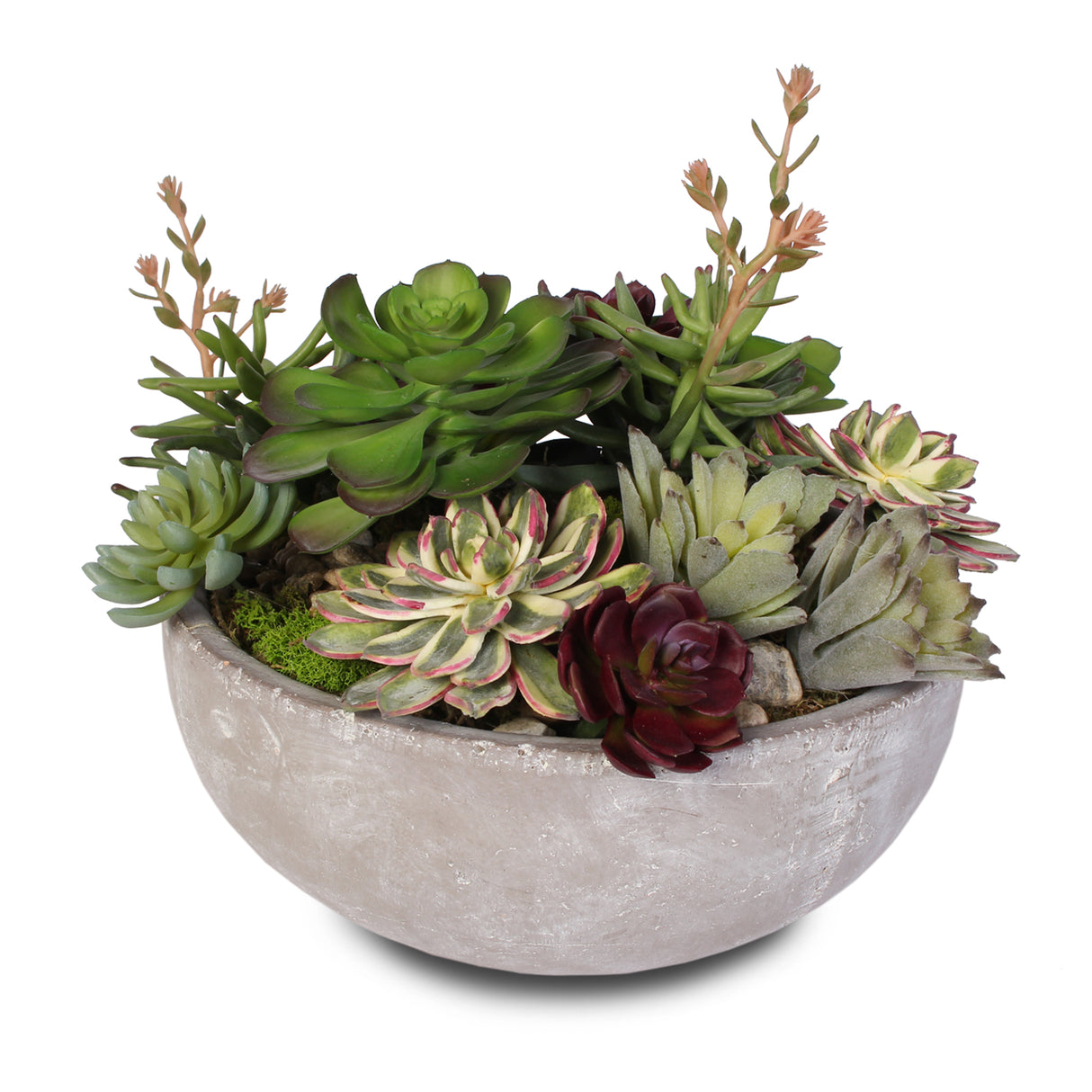 Artificial Succulent Variety in a Modern Cement Round Bowl #S-06