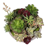 Artificial Succulent Variety in a Modern Cement Round Bowl #S-06