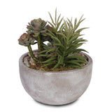 Artificial Succulents with Natural Pebbles in Cement Bowl #S-17