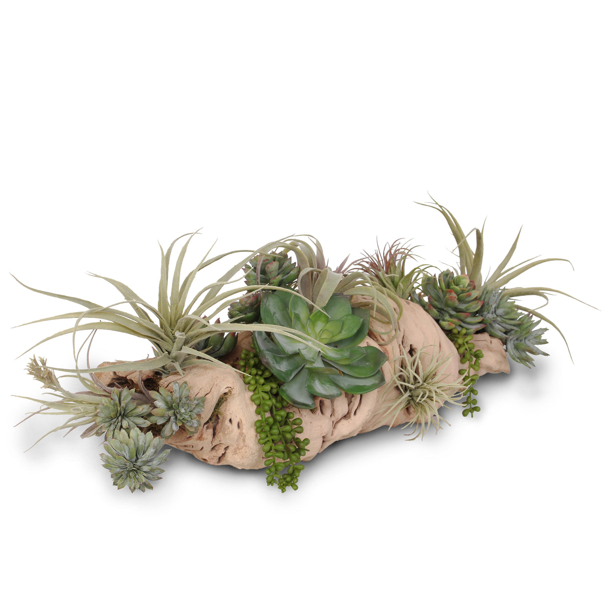 Succulents in Grapevine Wood Log #S-24