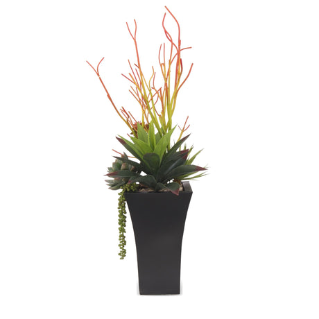 Pencil Cactus, Agave, Succulents Arrangement in A Black Square Metal Pot#S-39