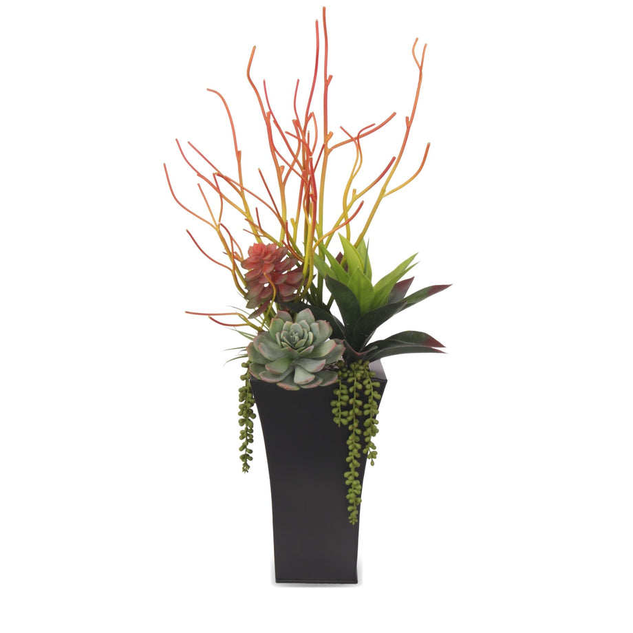 Pencil Cactus, Agave, Succulents Arrangement in A Black Square Metal  Pot#S-39