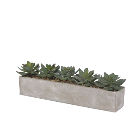 Faux Echeverias with Pebbles Succulent Arrangement In Cement Rectangular Pot#S-41