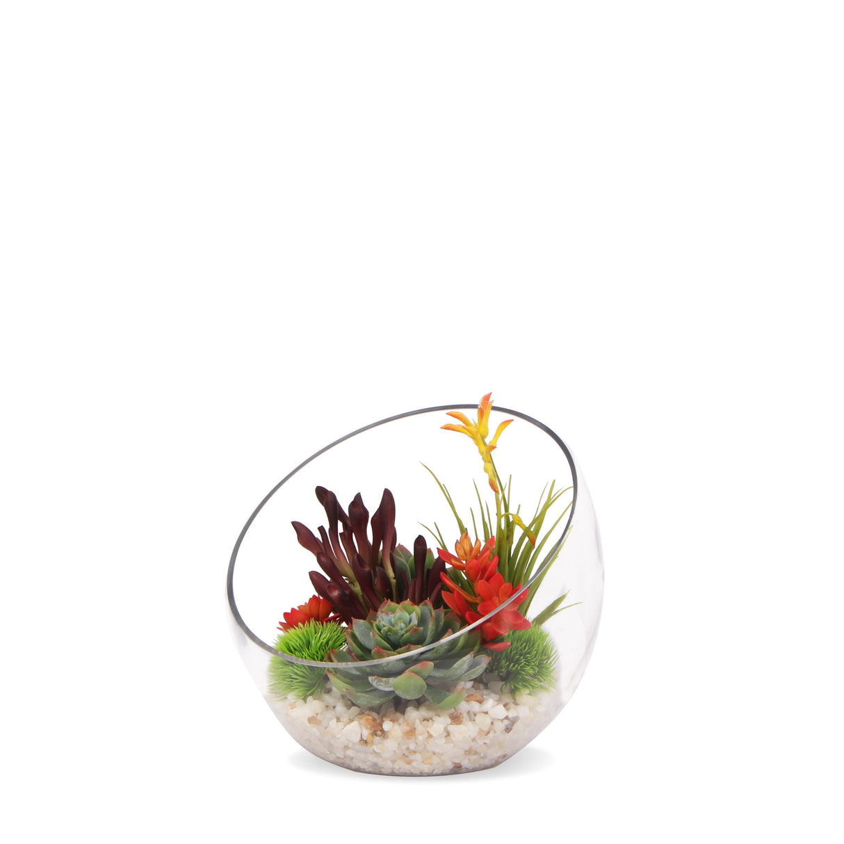 Tropical Colorful Succulents Arrangement in Clear Glass Slant Cut Modern Bowl#S-43