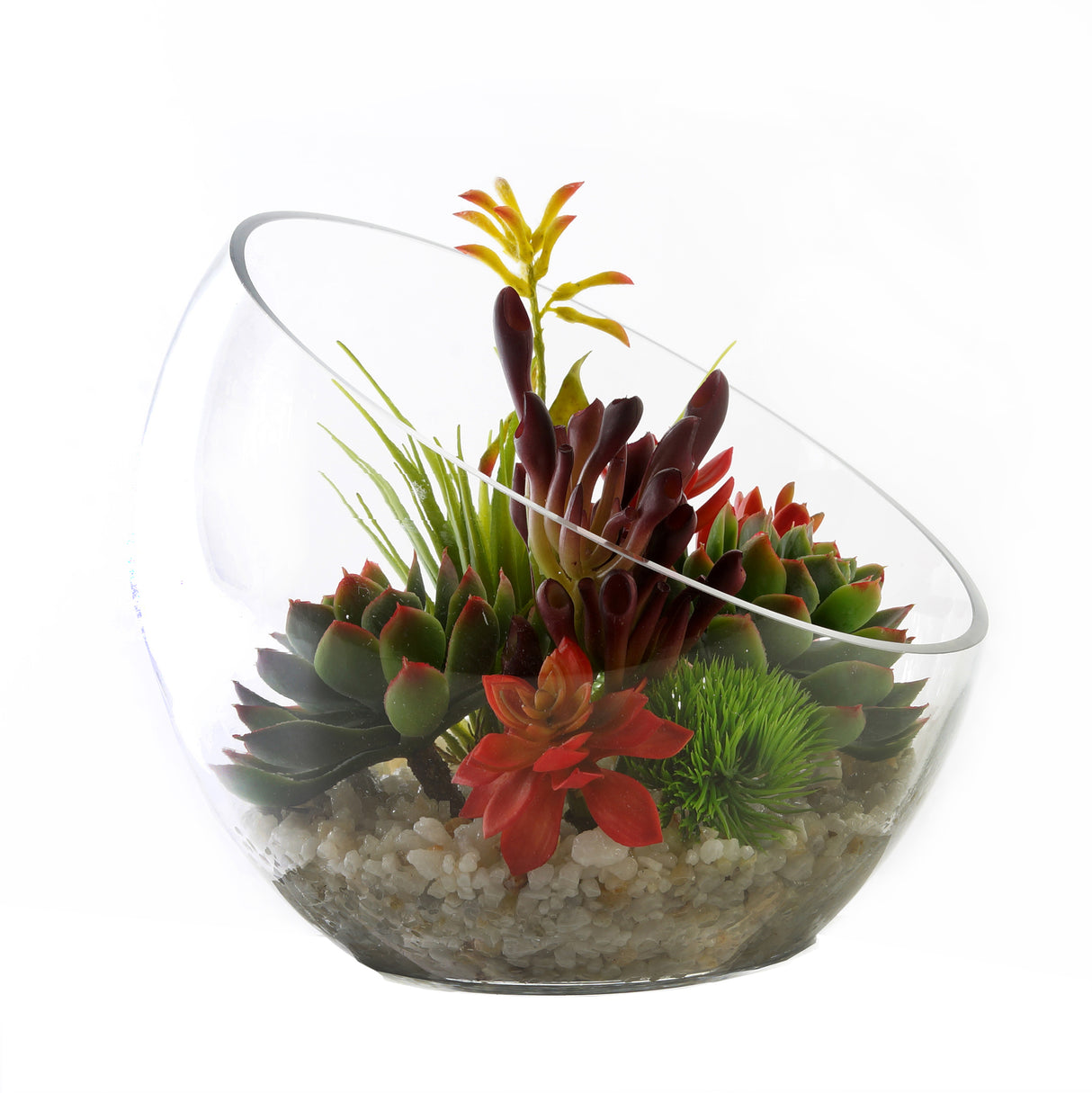 Tropical Colorful Succulents Arrangement in Clear Glass Slant Cut Modern Bowl#S-43