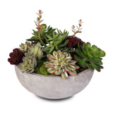 Artificial Succulent Variety in a Modern Cement Round Bowl #S-06