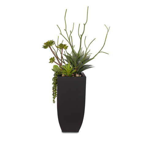 Botanical Succulent Variety in a Tall Black Modern Metal Planter #S-77