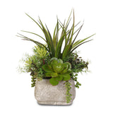 Artificial Succulent Variety in a Cement Pot #SG-62B