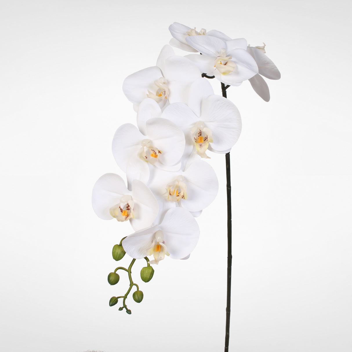 39"Real Touch Phalaenopsis Orchid White x 9 Flowers (6 Pcs Per Box)#OY392C