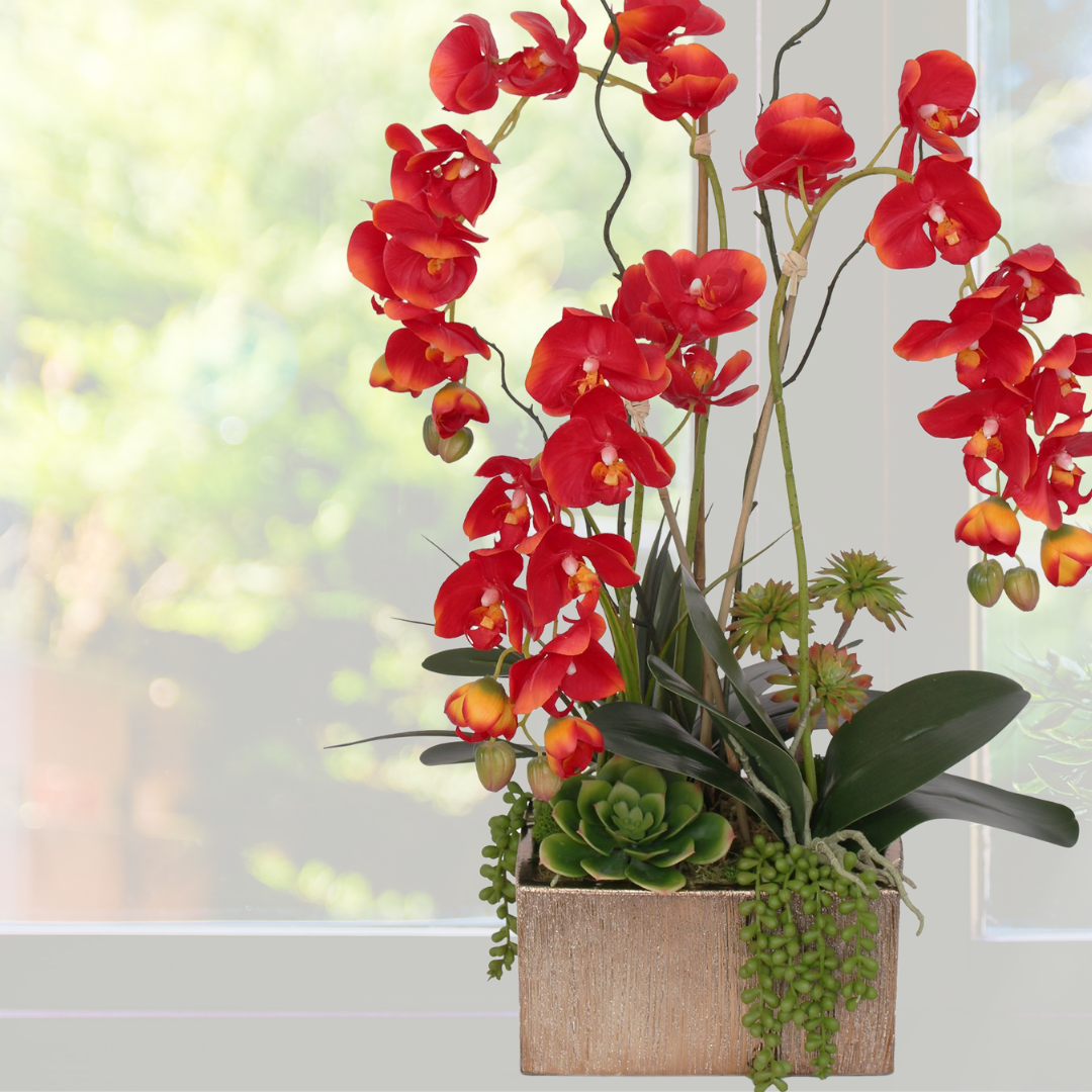 Real Touch Red Phalaenopsis Orchids, Succulents and Curly Willow Flower Arrangement#F-141