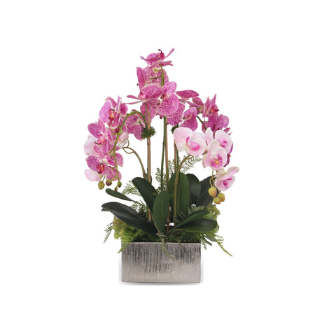 Real Touch Orchid Purple White/Pink with Fern/Succulents Arrangement in Silver Square Pot #F-153