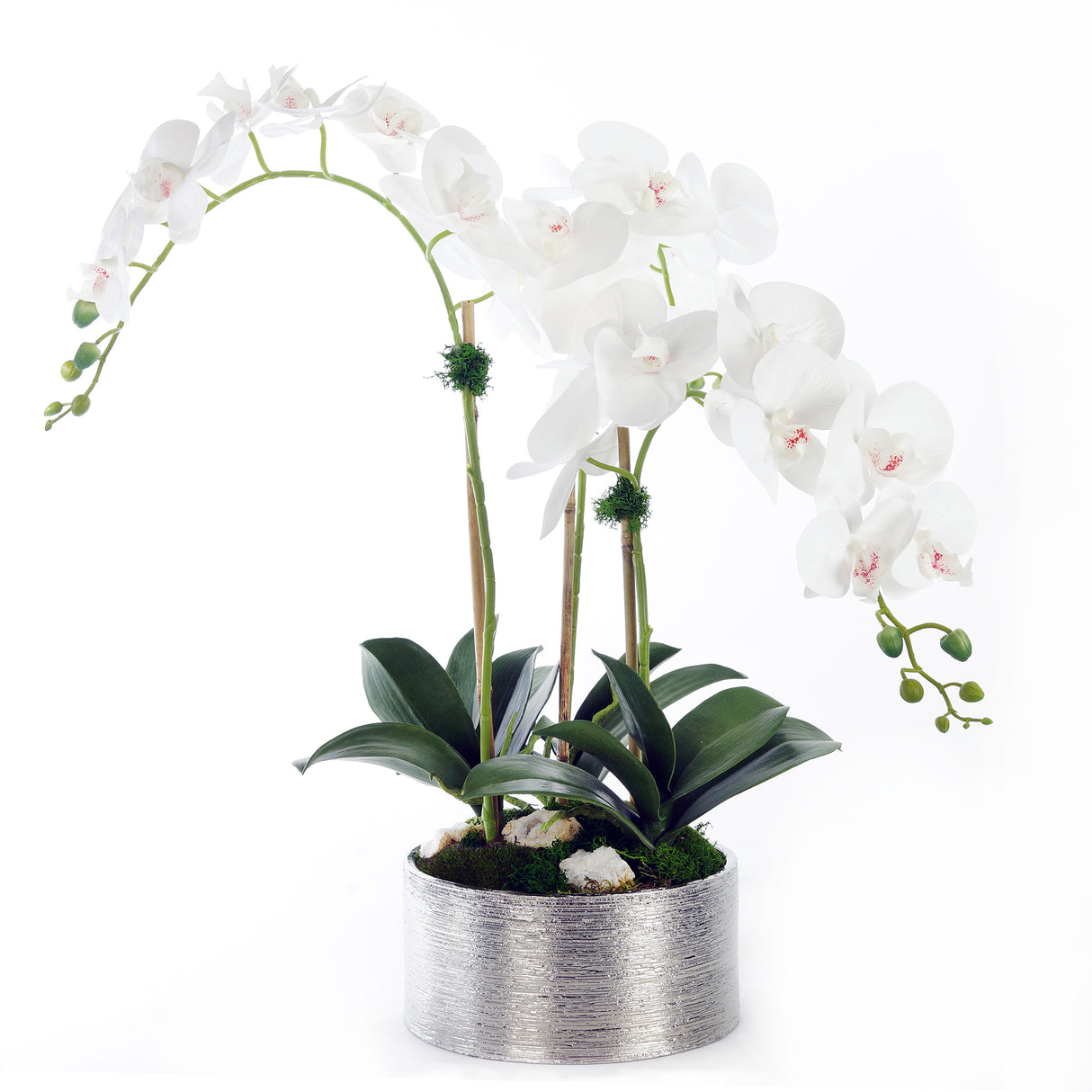 Real Touch White Phalaenopsis Orchids with Geodes Flower Arrangement in Round Silver Etched Ceramic Pot#F-159