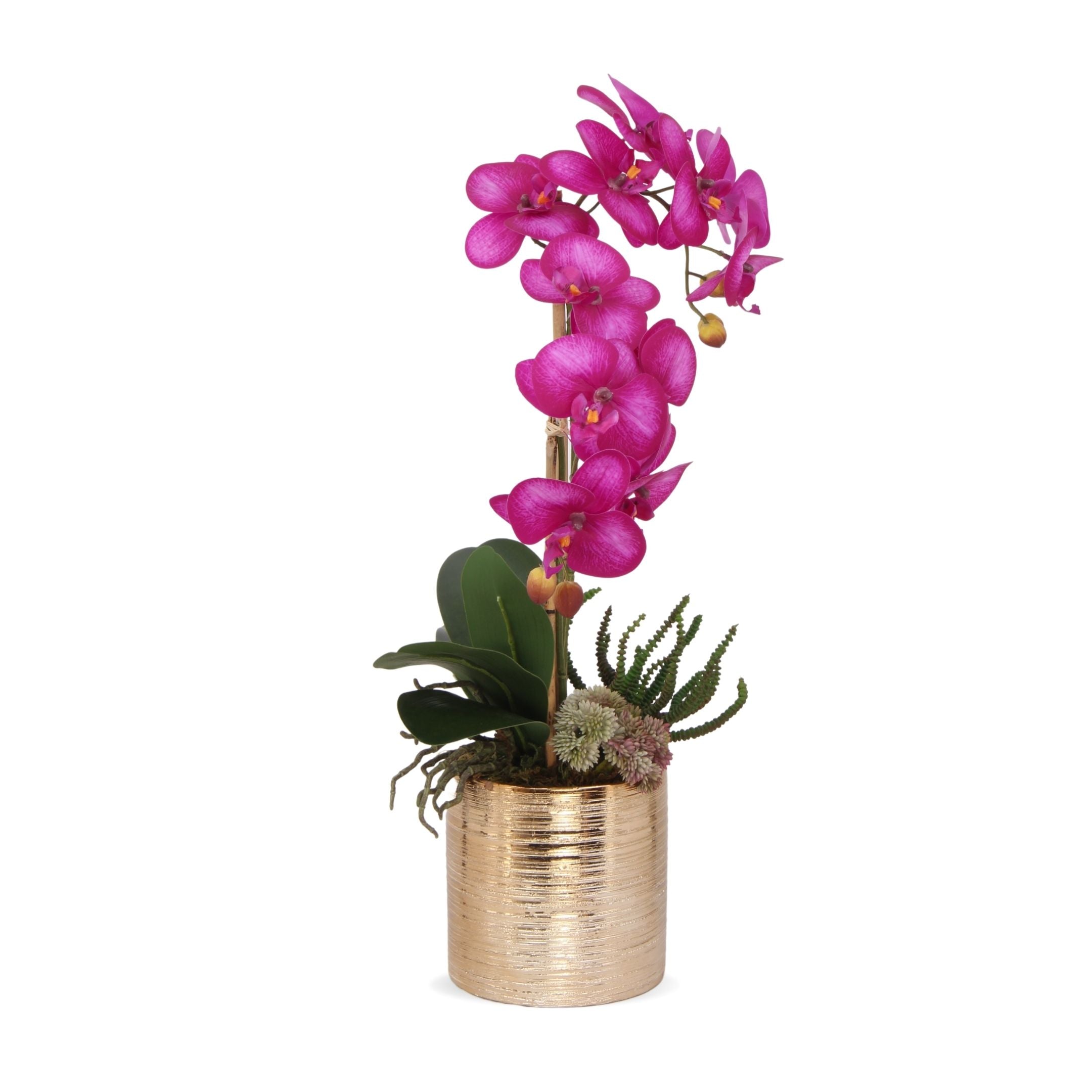 Orchid Floral Arrangement in Planter Primrue Flowers/Leaves Color: Purple