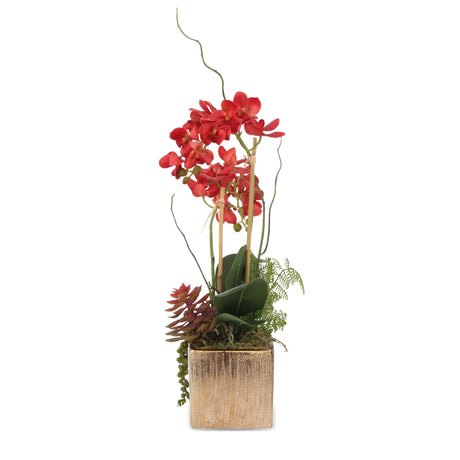 Real Touch Red Orchid, Fern/Succulents Flower Arrangement in Gold Pot #F-168