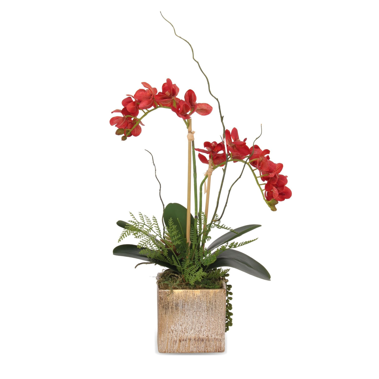 Real Touch Red Orchid, Fern/Succulents Flower Arrangement in Gold Pot #F-168