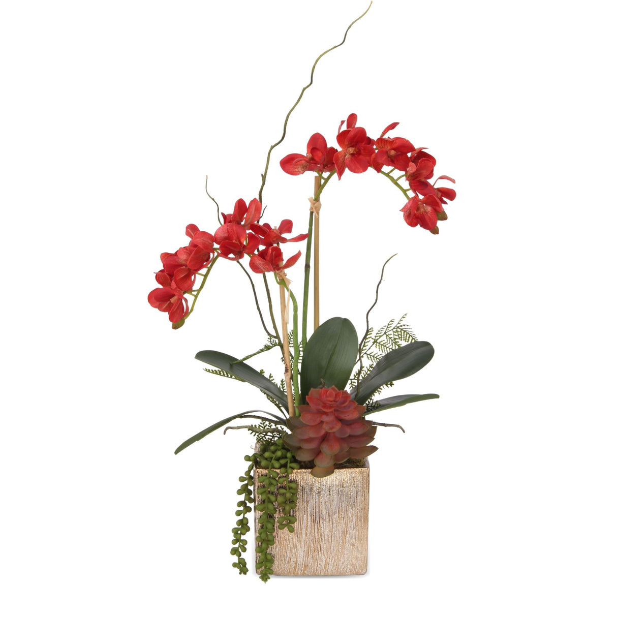 Real Touch Red Orchid, Fern/Succulents Flower Arrangement in Gold Pot #F-168