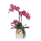 Real Touch Beauty Pink Orchids with Geodes/Succulents Flower Arrangement #F-173