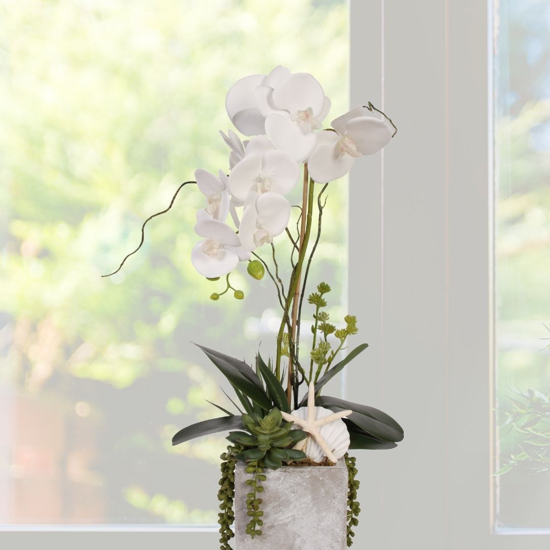 Real Touch White Orchid with Seashell & Succulent in Stone Wash Pot #F-40